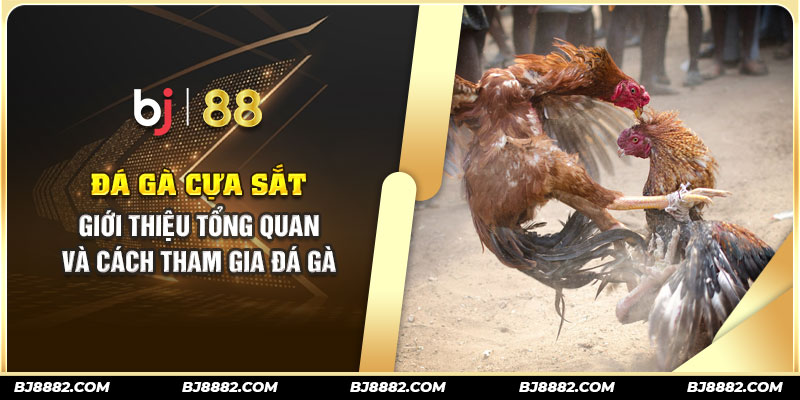 đá gà cựa sắt bj88