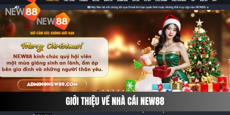 Giới thiệu về nhà cái NEW88